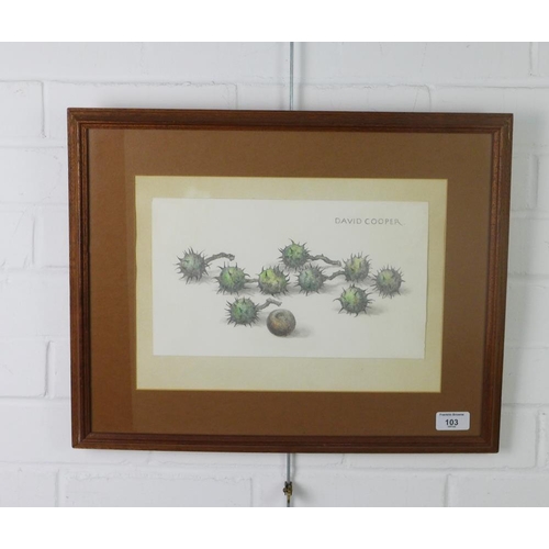 103 - WITHDRAWN
David Cooper, 'Conkers' pencil and crayon, signed and framed under glass, 30 x 18cm