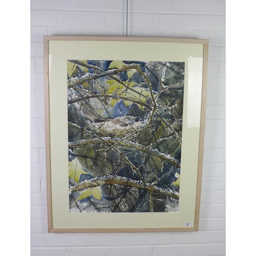 78 - Darren Woodhead, (b.1971) a large watercolour of a bird nesting on branches, signed and inscribed, f... 