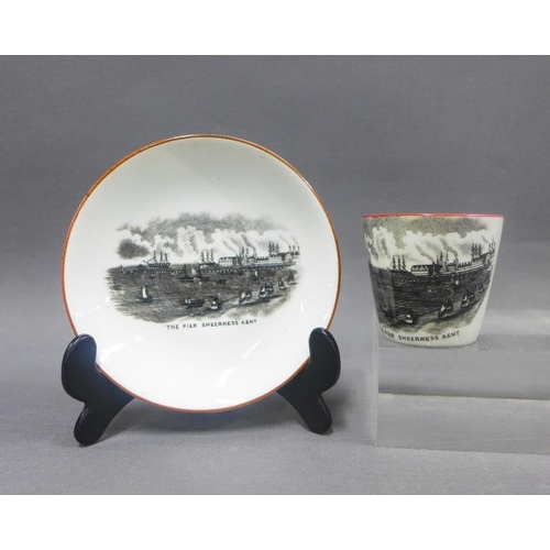 87 - Pier Sheerness Kent, commemorative bat printed cup and saucer (2)