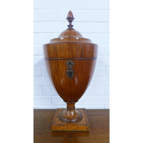 366 - George III satinwood cutlery urn with feather band stringing, urn finial and white metal mounts, on ... 