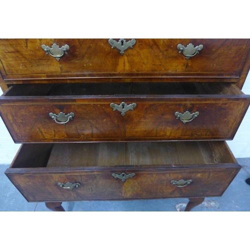 427 - Walnut chest on stand, the rectangular top over three short and three graduating long drawers, the b... 