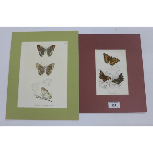 134 - W. F Kirby, a 19th century coloured print of butterflies together with another, (2)