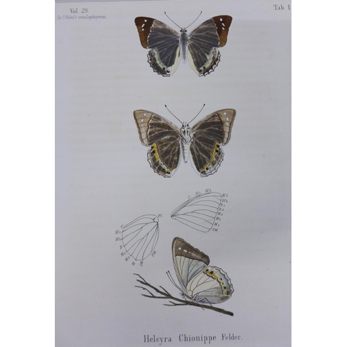 134 - W. F Kirby, a 19th century coloured print of butterflies together with another, (2)