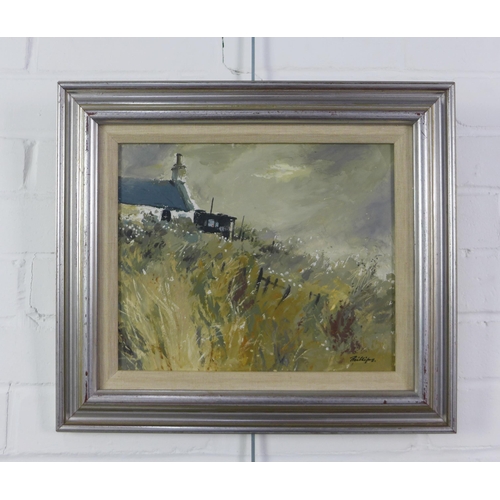 27 - Douglas Phillips, (Scottish 1926 - 2012)  'Cottage & Mist', oil on board, signed and framed under gl... 