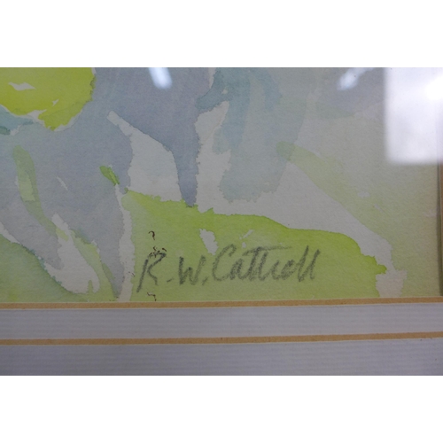 31 - Rosemary Cattrell, 'White Lily' watercolour, signed and framed under glass, 55 x 75cm