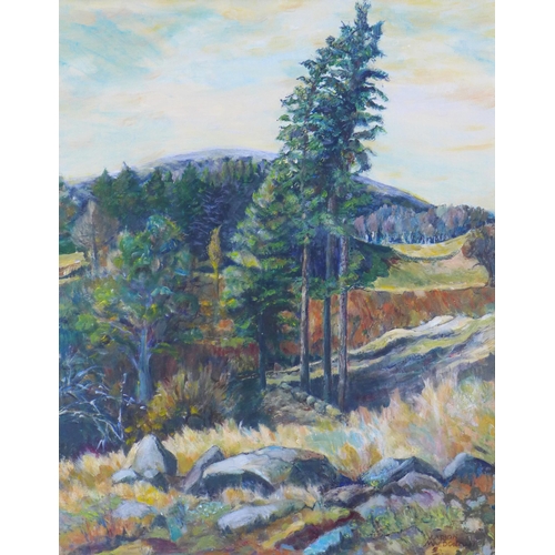 72 - Marion MacDonald, 'Glen Prossen Eclipse Light', acrylic on canvas, signed and framed, 40 x 50cm