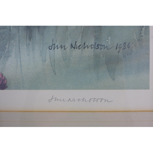 76 - Jim Nicholson limited edition colour print, signed in pencil and numbered 145/850, dated 1986, frame... 