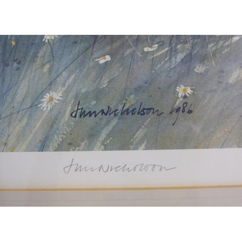 77 - Jim Nicholson limited edition colour print, signed in pencil and numbered 161/850, dated 1986, frame... 