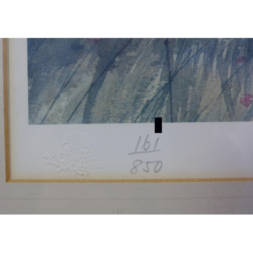 77 - Jim Nicholson limited edition colour print, signed in pencil and numbered 161/850, dated 1986, frame... 