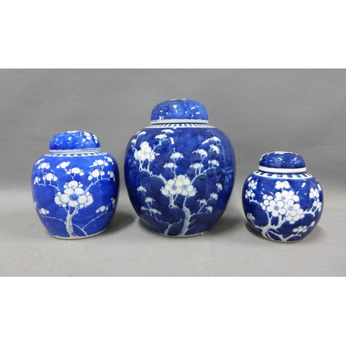 101 - Three blue and white Prunus pattern ginger jars with covers, tallest 19cm (3)