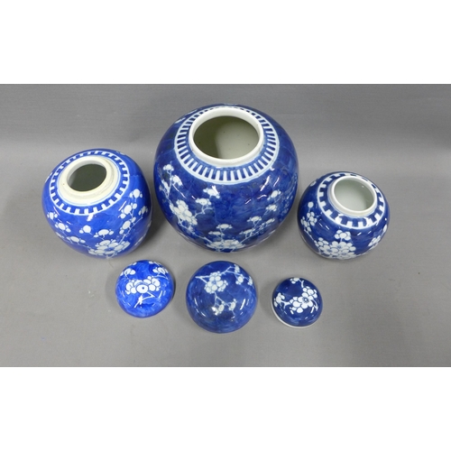 101 - Three blue and white Prunus pattern ginger jars with covers, tallest 19cm (3)