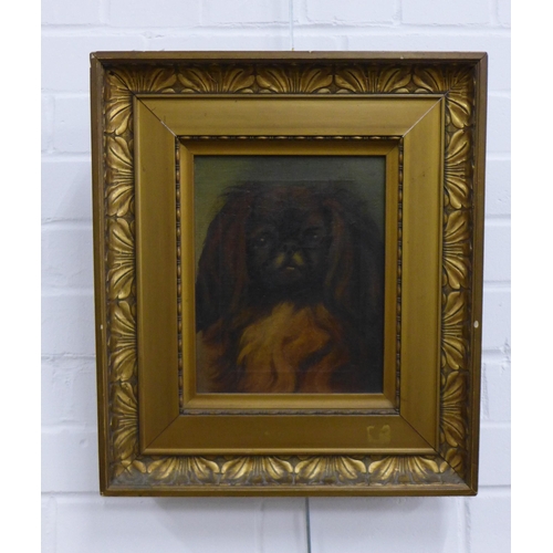 320 - English School oil on canvas of a Pekinese, unsigned, faux gilt frame, size overall 44 x 39cm