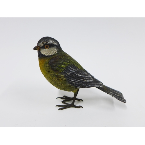 329 - Cold painted bronze Bluetit, 8cm