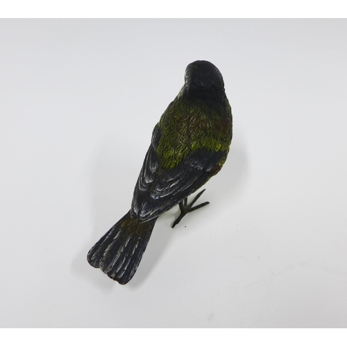 329 - Cold painted bronze Bluetit, 8cm