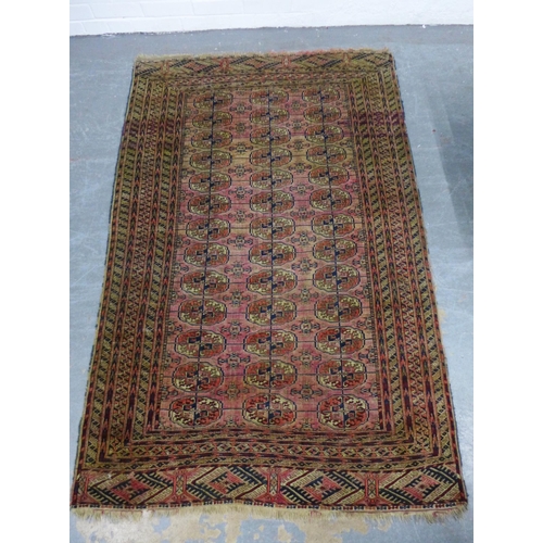 336 - Bokhara rug, red field with three rows of thirteen guls, 116 x 180cm