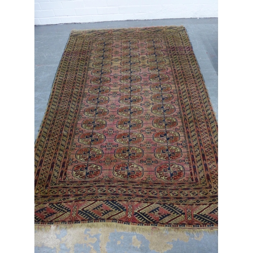 336 - Bokhara rug, red field with three rows of thirteen guls, 116 x 180cm