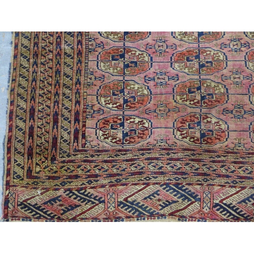 336 - Bokhara rug, red field with three rows of thirteen guls, 116 x 180cm