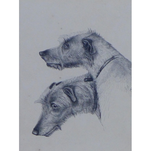 151 - 19th century ink sketch of two hounds, monogramed E.S and dated 1871, framed under glass, 12 x 16cm