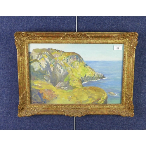 54 - David Forrester Wilson (1873 - 1950) Sun - Forenoon, Sanaig Cliffs, oil on board, signed and framed ... 