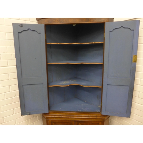 240 - Walnut floor standing corner cupboard, the interior with blue painted shelves, 112 x 60 x 49cm