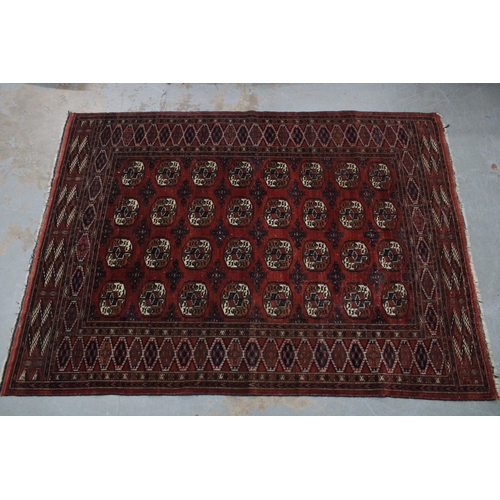 268 - Bokhara rug, red field with four rows of eight guls, 250 x 182cm