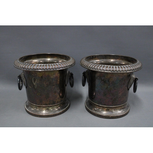 357 - Pair of silver plated ice bucket / wine coolers, gadroon rim and anthemion ring handles, (2) 15cm