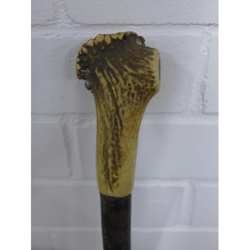 386 - Walking cane / staff with horn handle, 123cm