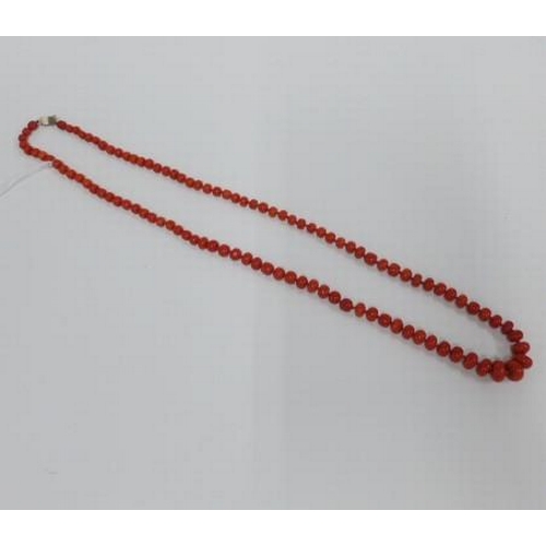 64 - Strand of graduated coral beads, largest bead approx 1.5cm wide