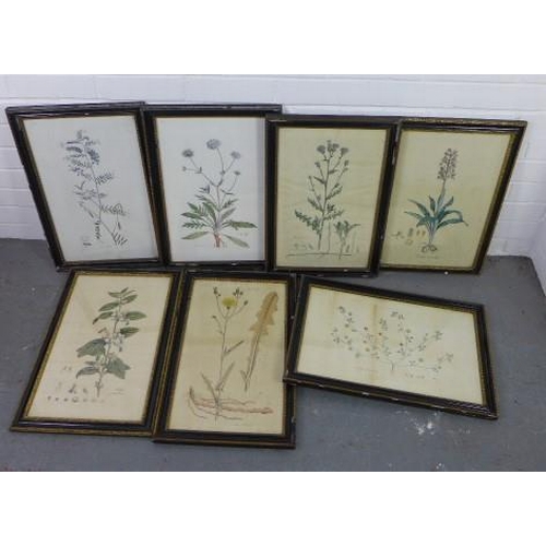 190 - Set of seven late 19th / early 20th century botanical prints, all framed under glass, size overall 3... 