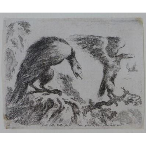 187 - Stef. della Bella group of four animal etchings, contained with two glazed frames, bearing Thos Agne... 