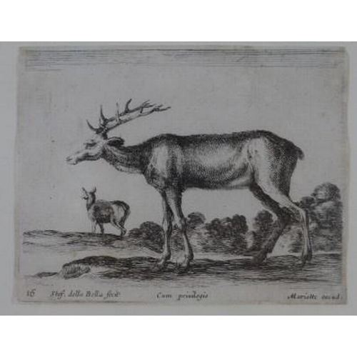 187 - Stef. della Bella group of four animal etchings, contained with two glazed frames, bearing Thos Agne... 