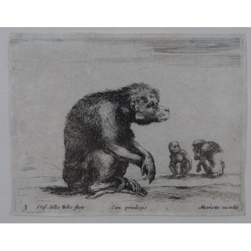 187 - Stef. della Bella group of four animal etchings, contained with two glazed frames, bearing Thos Agne... 