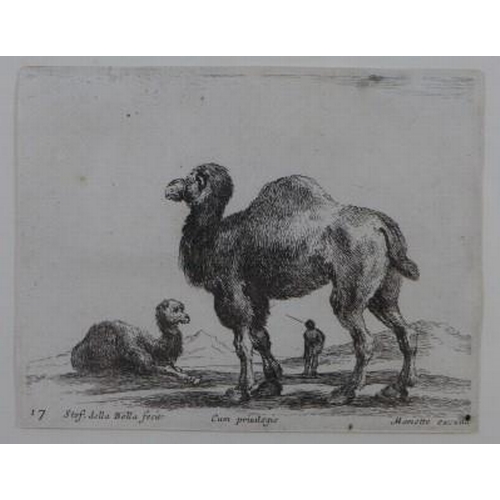 187 - Stef. della Bella group of four animal etchings, contained with two glazed frames, bearing Thos Agne... 