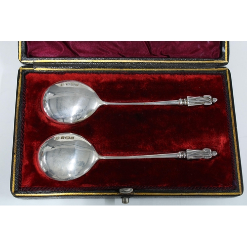 26 - Victorian cased set of two silver Apostle spoons, Francis Howard, Sheffield 1891 (2)