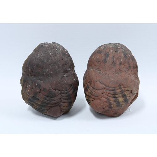 156 - Pair of art pottery owls (2) 11cm.