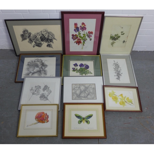 200 - Quantity of botanical prints, drawings and watercolours, all framed under glass (a lot)