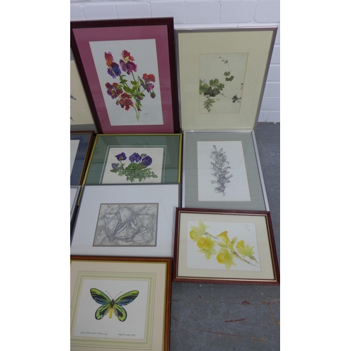 200 - Quantity of botanical prints, drawings and watercolours, all framed under glass (a lot)