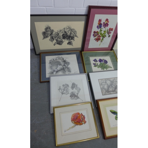 200 - Quantity of botanical prints, drawings and watercolours, all framed under glass (a lot)