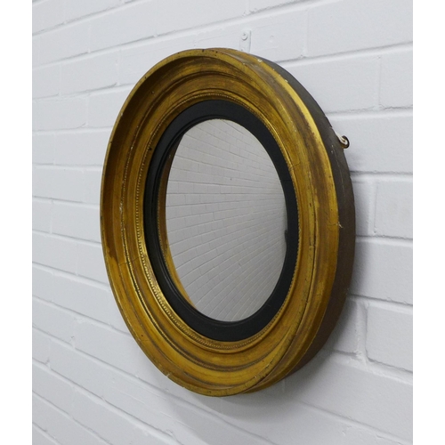 229 - Circular gilt framed wall mirror with an ebonised slip. 47cm.