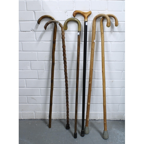 355 - Six various walking canes and sticks (6)