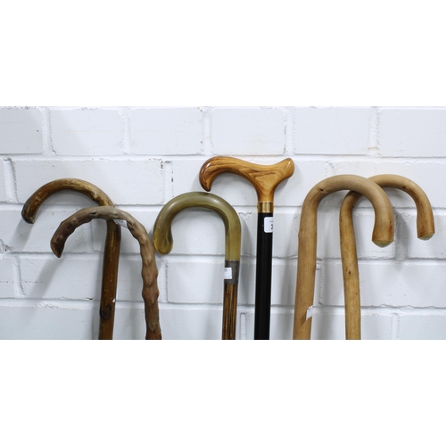 355 - Six various walking canes and sticks (6)