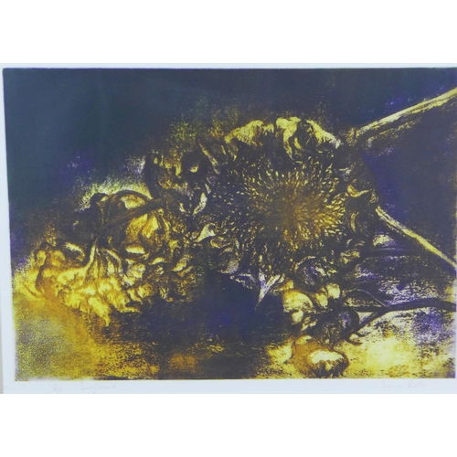 19 - Sonia Rollo  (British Contemporary) 'Sunflowers', coloured screen print, numbered 2/20, signed in pe... 