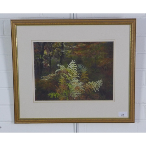 25 - Averil Fuller (English) 'Autumn at Rosa Shaftoe Reserve', pastel, signed and framed under glass with... 