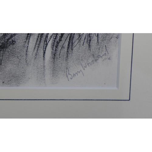 37 - Barry Woodward, 'Border Roofs', charcoal & ink on paper, signed and framed under glass with label ve... 