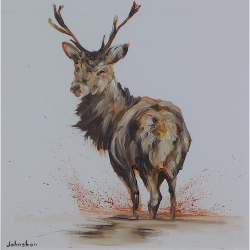 41 - Elaine Johnston, Stag, oilon canvas, signed, framed, 39 x 39cm