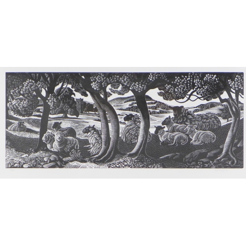 61 - Derek Setford, ' A Shady Place', wood engraving, signed and framed under glass, 35 x 18cm