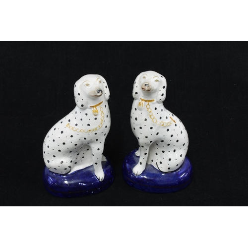 149 - A pair of Staffordshire dalmatian dogs on blue cushion base, (2) 16cm.