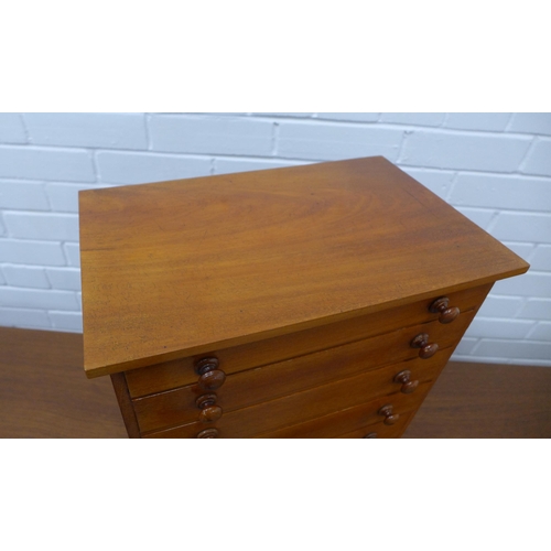 243 - Rowland Ward mahogany specimen chest with six graduating long drawers, with bun handles, 46 x 38 x 2... 