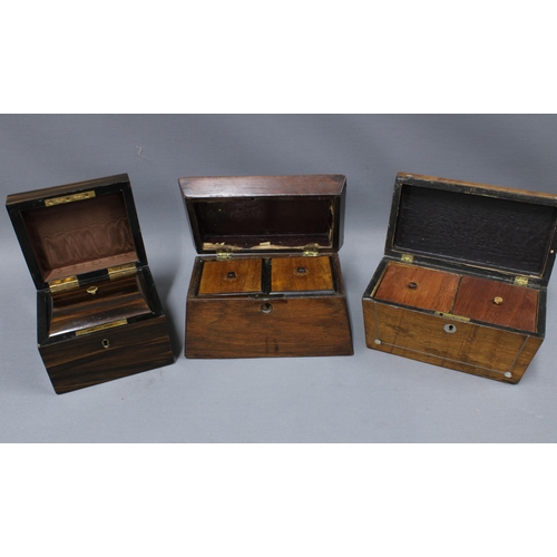 317 - Three 19th century tea caddies to include two rosewood and one mahogany caddy. largest 22cm long (3)