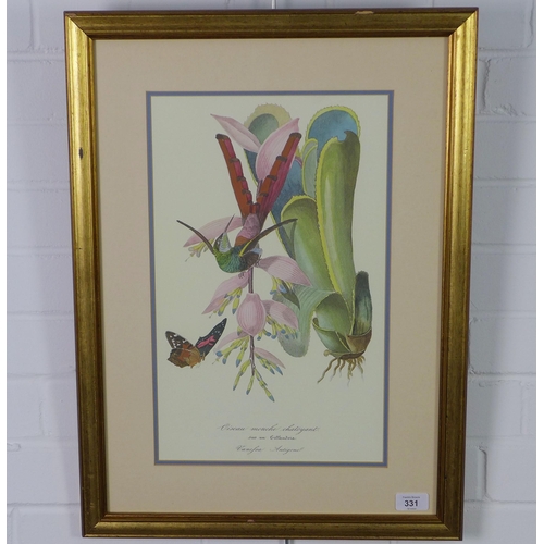 331 - 'Oiseau mouche chatoyant', coloured print, framed under glass, 45 x 62cm including frame